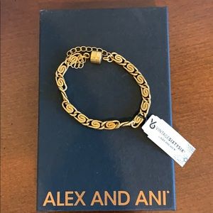 Alex and Ani Chain Link Magnetic Bracelet